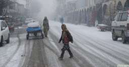 168 die due to harsh winters in Afghanistan